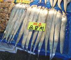 韓国の市場で売られている太刀魚